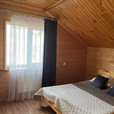 тростян та річка Vakantiehuis Slavske